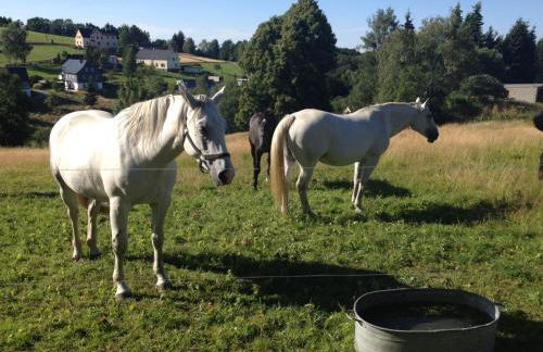Ferienwohnung Unger - Foto 21