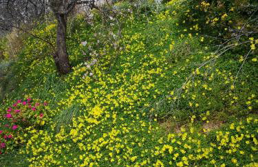 Casa Opuntia - Foto 58