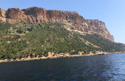 Le Petit Canaille - Photo 24