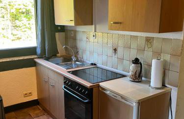 Franziska's Ferienwohnung - Die Unterkunft in ruhiger Lage direkt am Wald - Foto 33