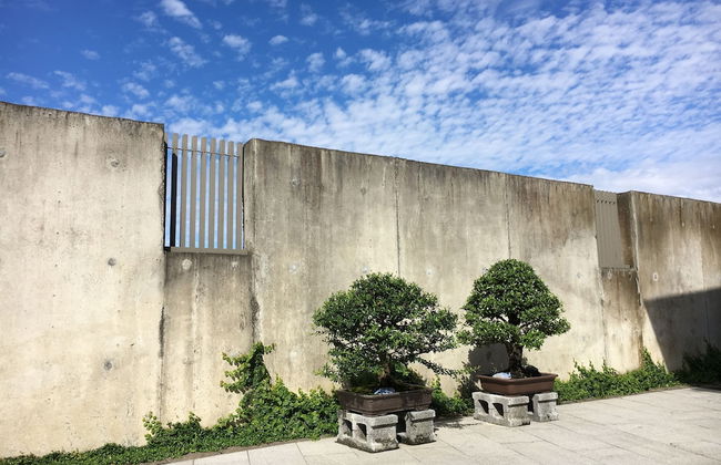 Apex Villa - Photo 59