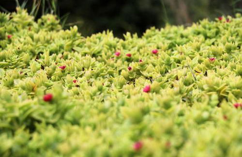 Case di Berto - Foto 19