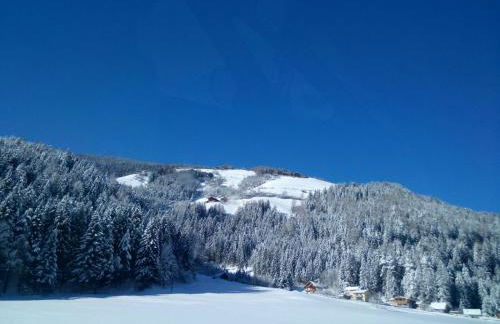 Kehrerhof Urlaub auf dem Bauernhof - Photo 63