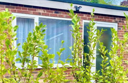 The Cabin at Number 12 - Foto 19