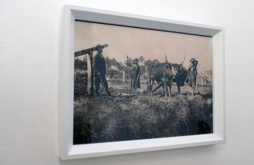 A Côrte Das Azenhas - Foto 14