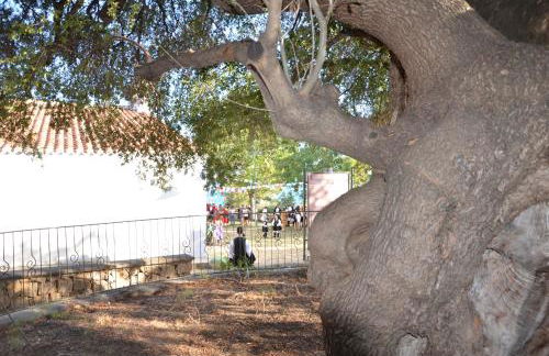 Home Balloon - Foto 39