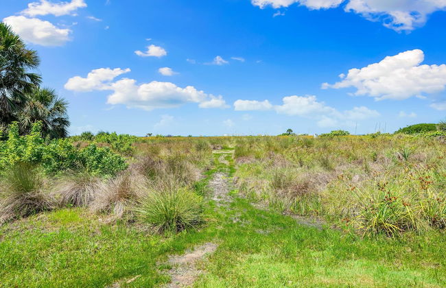 Direct Beachfront Delight by Beachside Management - Photo 23