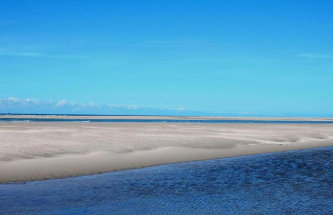 Modern Holiday Home in Kattendijke With a Garden - Foto 33