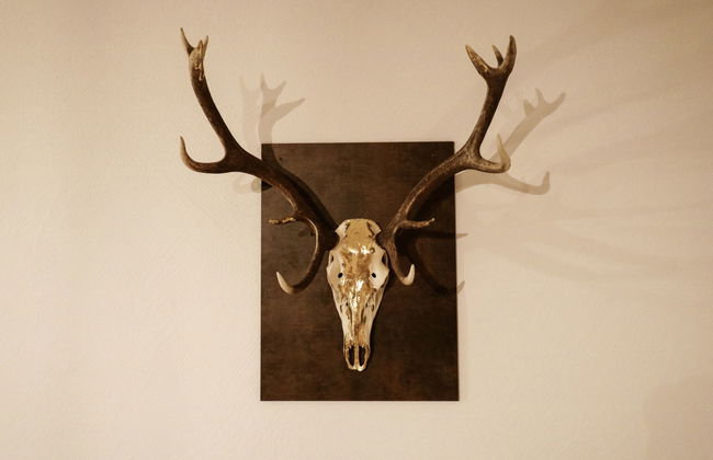 bergGlück - Foto 18