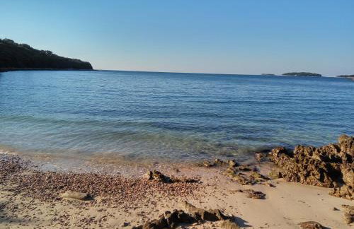 Apartment Asparagus - Photo 26