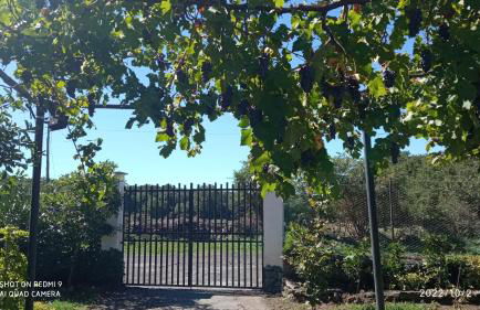 Etna, salvia e rosmarino - Foto 10