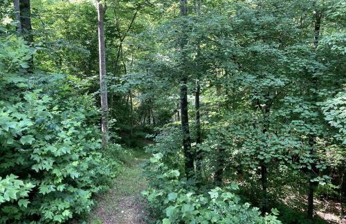 Luxury Cabin Rental with Beautiful Water Views near Charlotte, North Carolina - Foto 12