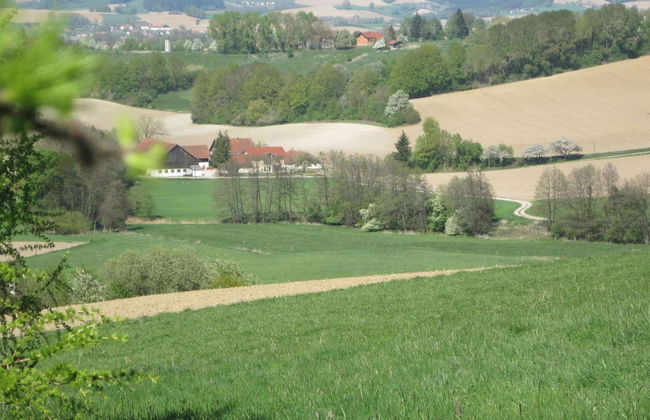 Comfortable Apartments in Rotthalmunster - Photo 80