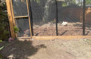 VIVA Countryside House - Foto 24