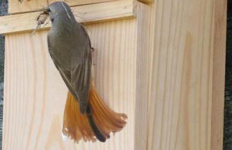 Ostoja Kamionki - Foto 18