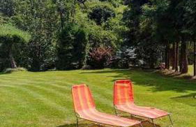 Kaczmarówka - Foto 68