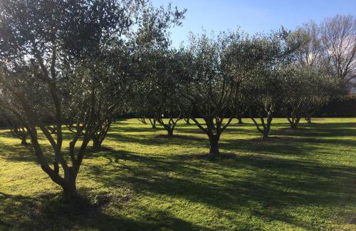 Le Micocoulier - Foto 50