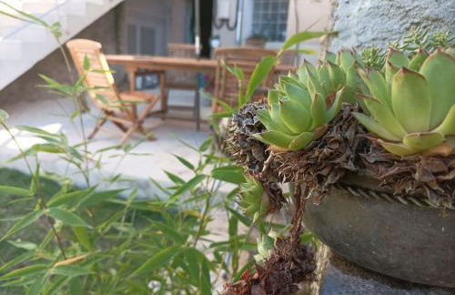 La petite Jarlandine - Foto 16