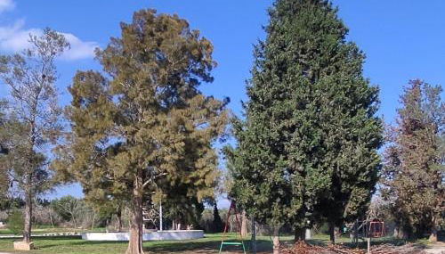 Casa Laurel - Foto 4