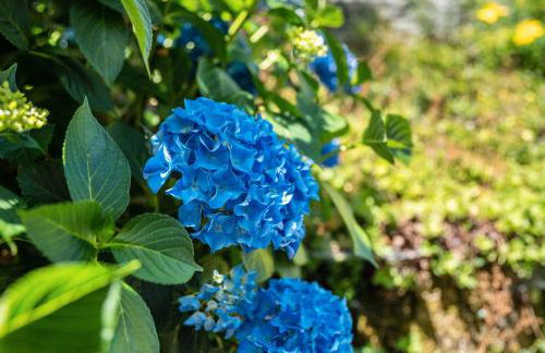 Ferienwohnung s'Raubers - Foto 33