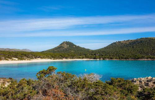 Can Nogueras - Photo 24