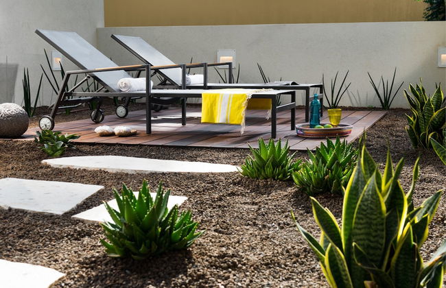 master Shenkin - Foto 31