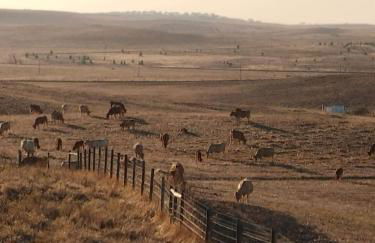 Canto da Planície - Foto 69