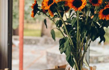 Petrochori Beach House - Foto 12