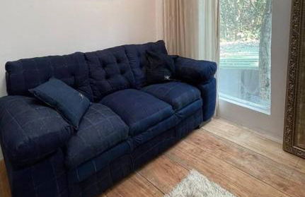 Bosque na Montanha Encantada - Foto 45