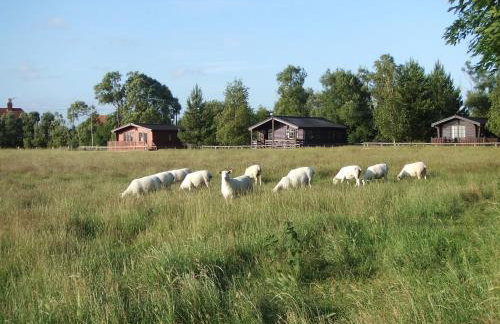 Spacious Cottage With Sauna Looking out on Astonishing Grasslands - Photo 16