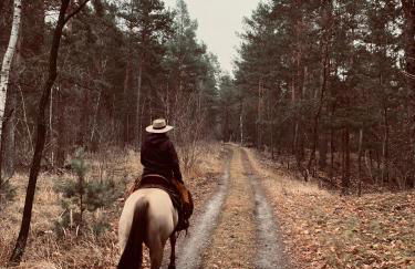 W Diamonds Ranch - Photo 18