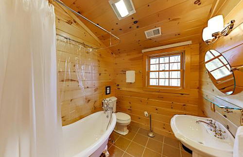 Willy Bear - Foto 21