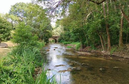 Les Studios Grenouilles - Foto 35