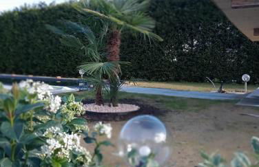 Anticopodere - Foto 27