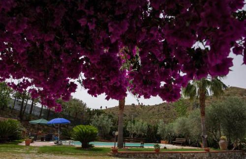 Tenuta Severino - Foto 12