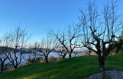 Cabana nas Nuvens - Foto 68