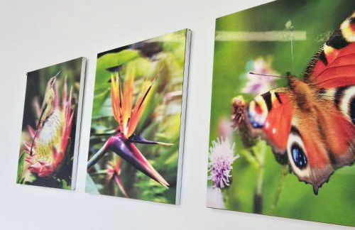 Logement "Les Etangs"- à 10 km du centre ville et à 5 minute du parlement européen avec parking gratuit - Foto 11