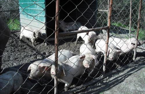 Quinta da Alma Cheia - Foto 76