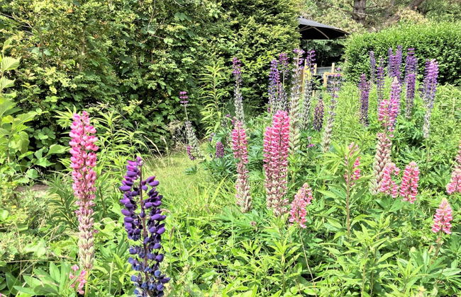 "Thrugels" - 200m from the sea - Foto 12