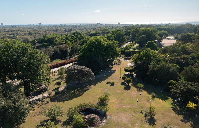 Quinta Pavo Real Complex by Acomodo - Photo 23