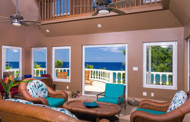 Yellow Bird - Foto 9