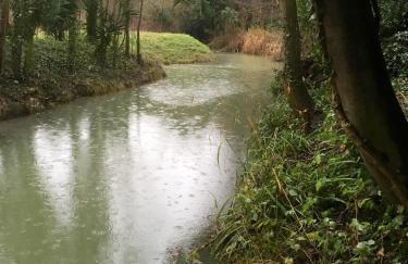 Oak-Island Hall - Foto 23