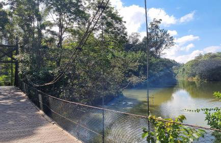 Piscina, jardim, área gourmet e vista arborizada - Foto 61