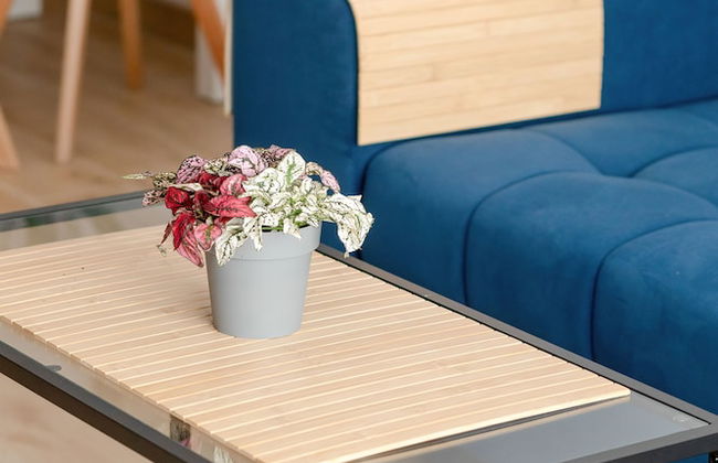 Blue Apartment With Sea View by Renters - Photo 42