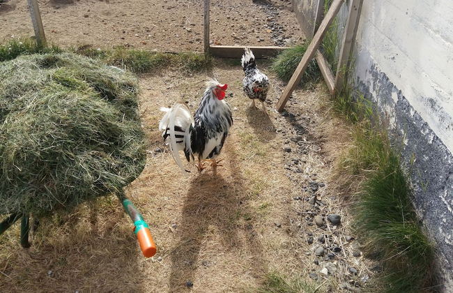 Vorsabær 2 Holiday Home - Foto 19