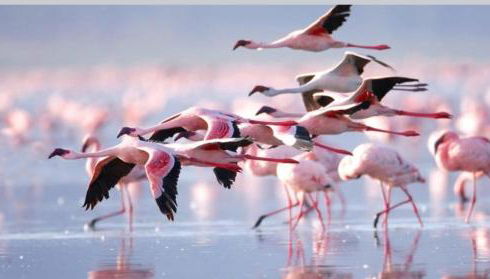 LagoVista45 - Foto 3