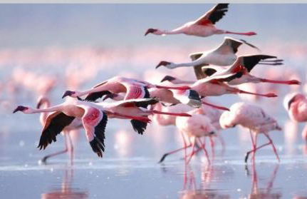 LagoVista45 - Foto 3