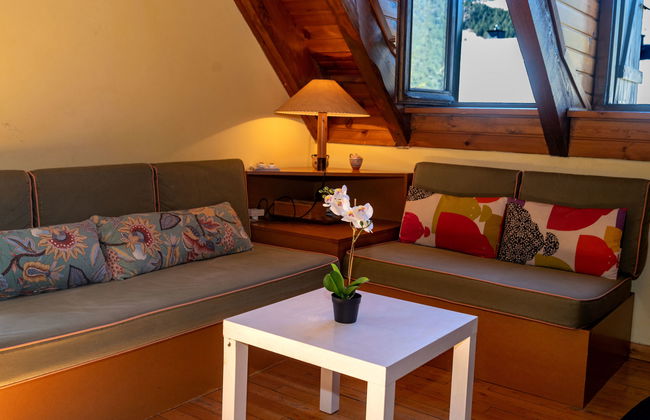 Herbasabina - Foto 7