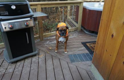 Stellahouse - Awesome Maine Treehouse - Foto 34