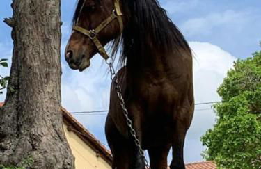 CASA RURAL. COVARACINO OJO GUAREÑA - Photo 54